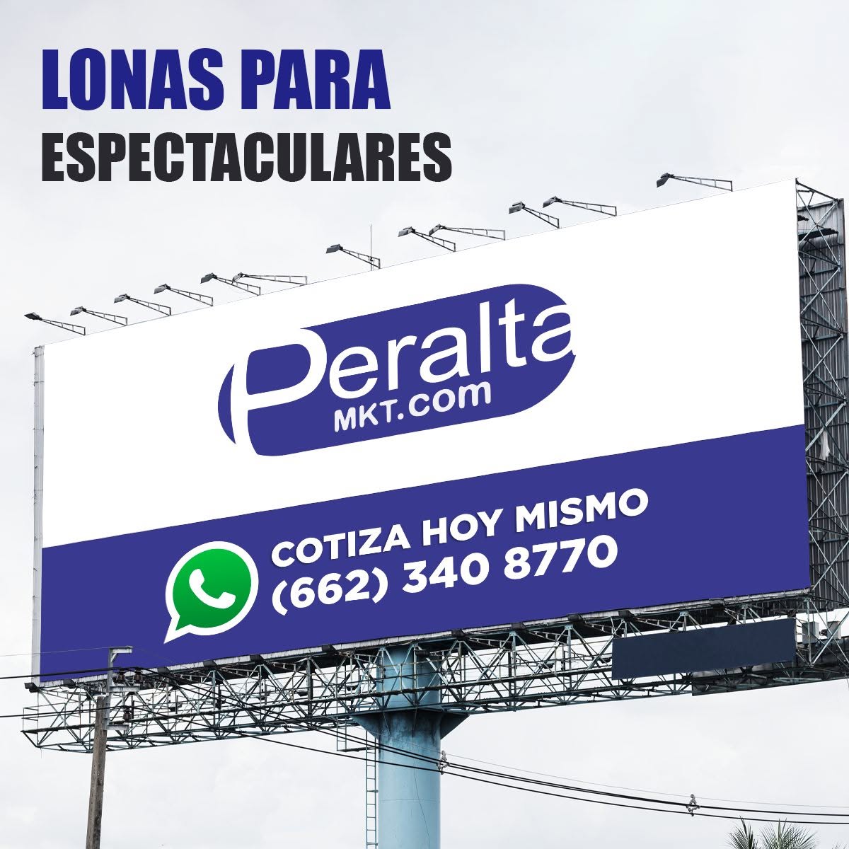 Lonas para espectaculares de Peralta MKT