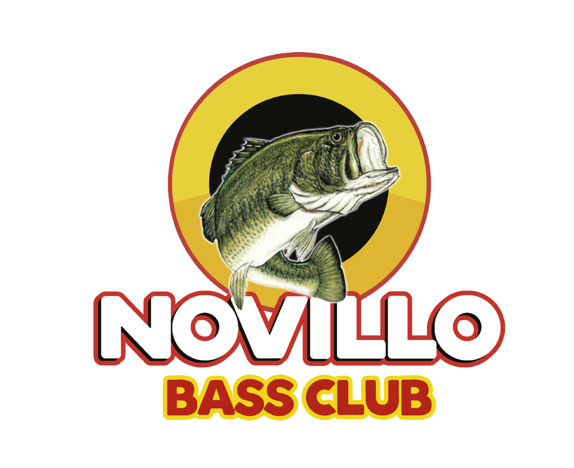 LOGO NOVILLO